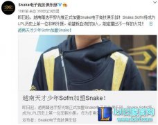 越南Faker是谁 Snake新打野Sofm个人资料,lol日服下载地址