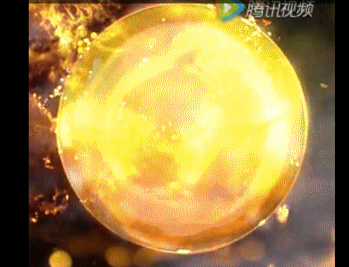 4.gif