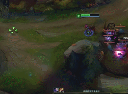 寡妇.gif