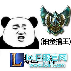 1488522737.jpg 白金.jpg