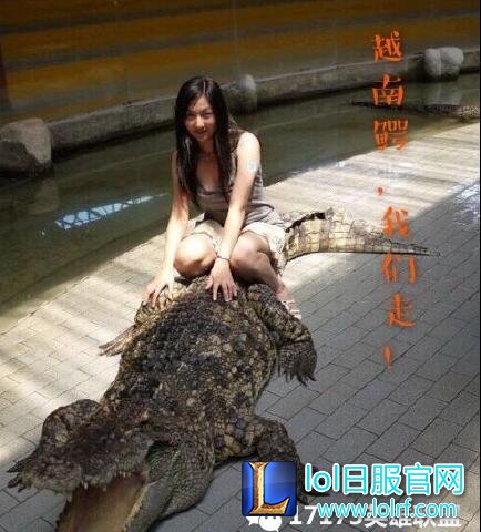 111.jpg