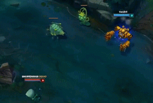 二阳.gif