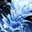 image (39).png